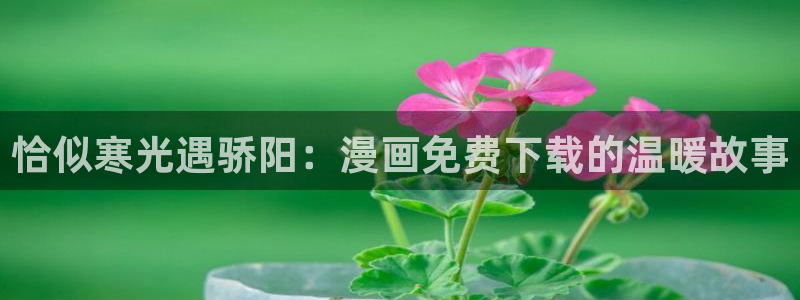 个人中心贝勒漫画