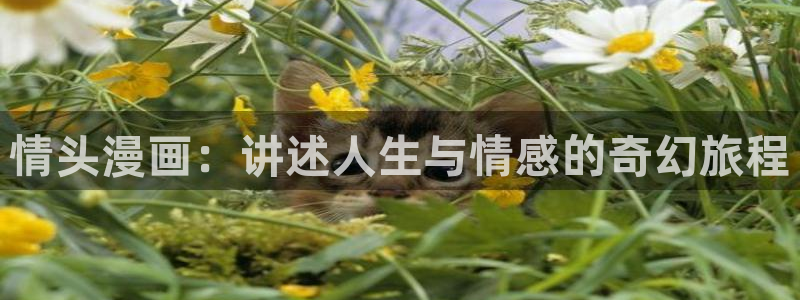 暗秋贝勒漫画免费下拉式快看