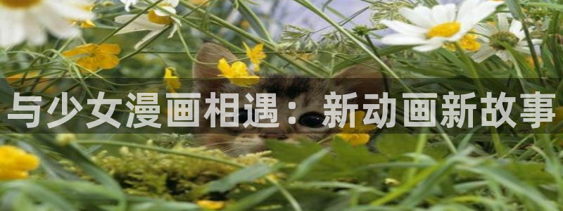贝勒漫画改名叫什么了
