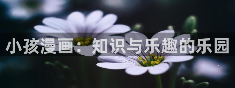 贝勒漫画改名叫什么了