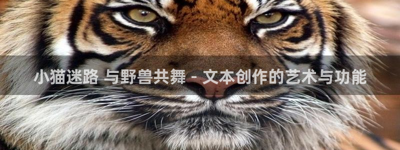 贝勒漫画在线看