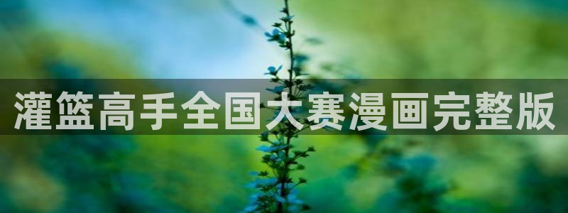 贝勒漫画官方