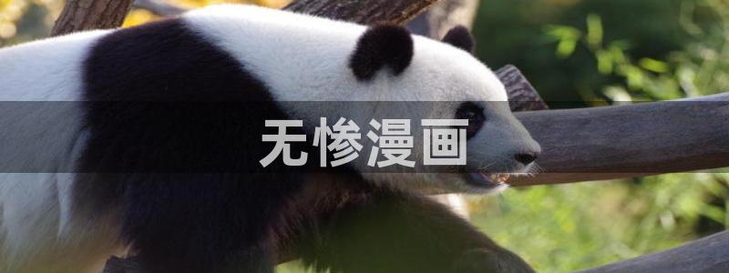 贝勒漫画下拉式