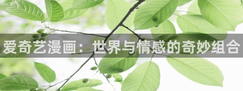 漫画更新周期表贝勒漫画