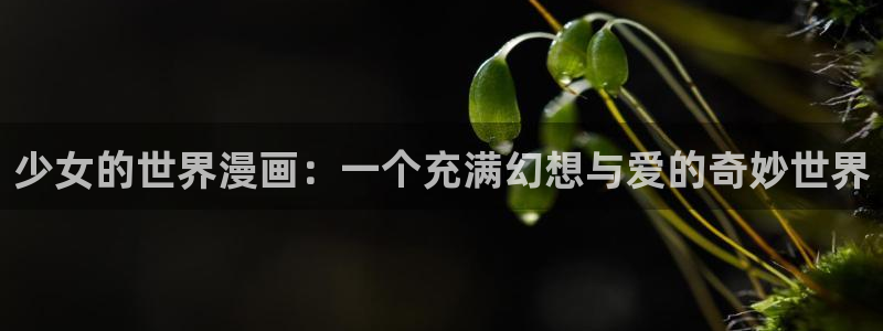 贝勒漫画妄想的边界