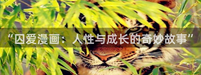 贝勒漫画网站：“囚爱漫画：人性与成长的奇妙故事”